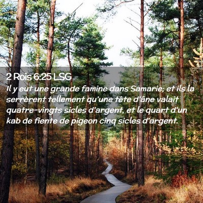Picture 02 - 2 Rois 6:25 LSG - Il y eut une grande famine dans Samarie; et ils - Bible Verse Picture