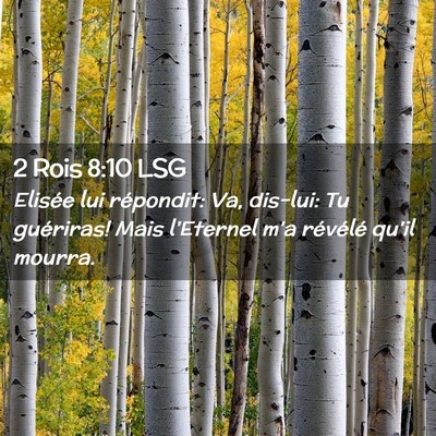 Picture 02 - 2 Rois 8:10 LSG - Elisée lui répondit: Va, dis-lui: Tu guériras! - Bible Verse Picture