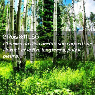 Picture 02 - 2 Rois 8:11 LSG - L'homme de Dieu arrêta son regard sur Hazaël, - Bible Verse Picture