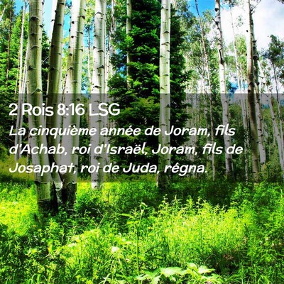 Picture 02 - 2 Rois 8:16 LSG - La cinquième année de Joram, fils d'Achab, roi - Bible Verse Picture