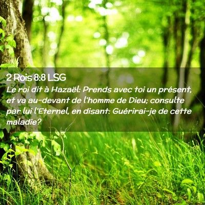 Picture 02 - 2 Rois 8:8 LSG - Le roi dit à Hazaël: Prends avec toi un - Bible Verse Picture