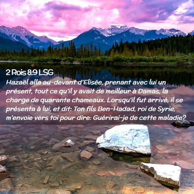 Picture 02 - 2 Rois 8:9 LSG - Hazaël alla au-devant d'Elisée, prenant avec - Bible Verse Picture