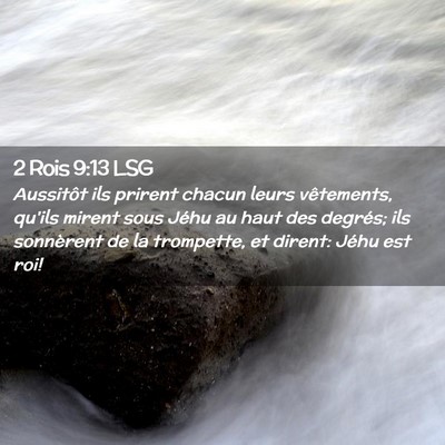 Picture 02 - 2 Rois 9:13 LSG - Aussitôt ils prirent chacun leurs vêtements, - Bible Verse Picture
