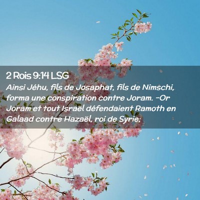 Picture 02 - 2 Rois 9:14 LSG - Ainsi Jéhu, fils de Josaphat, fils de Nimschi, - Bible Verse Picture
