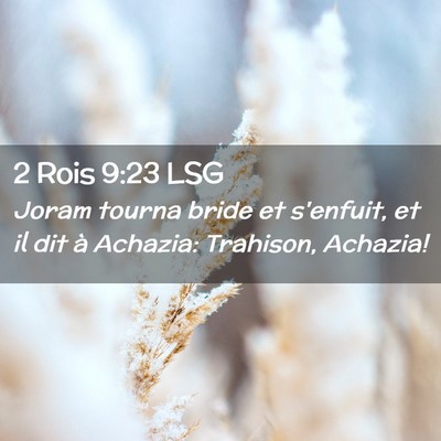 Picture 02 - 2 Rois 9:23 LSG - Joram tourna bride et s'enfuit, et il dit à - Bible Verse Picture