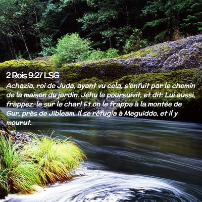 Picture 02 - 2 Rois 9:27 LSG - Achazia, roi de Juda, ayant vu cela, s'enfuit par - Bible Verse Picture