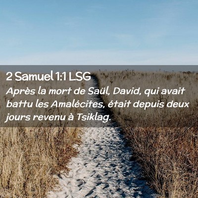 Picture 02 - 2 Samuel 1:1 LSG - Après la mort de Saül, David, qui avait battu - Bible Verse Picture