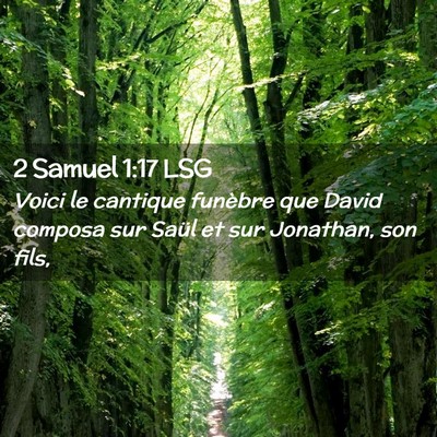 Picture 02 - 2 Samuel 1:17 LSG - Voici le cantique funèbre que David composa sur - Bible Verse Picture