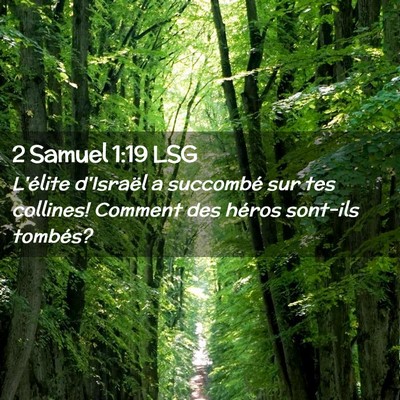 Picture 02 - 2 Samuel 1:19 LSG - L'élite d'Israël a succombé sur tes collines! - Bible Verse Picture