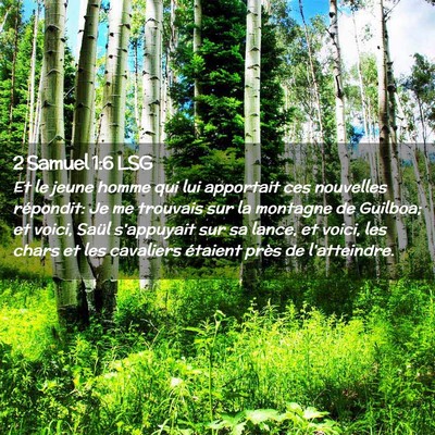Picture 02 - 2 Samuel 1:6 LSG - Et le jeune homme qui lui apportait ces nouvelles - Bible Verse Picture