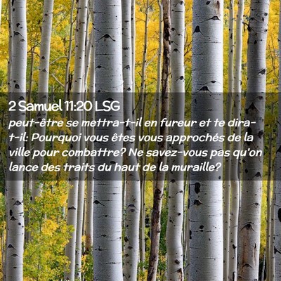 Picture 02 - 2 Samuel 11:20 LSG - peut-être se mettra-t-il en fureur et te - Bible Verse Picture