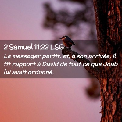 Picture 02 - 2 Samuel 11:22 LSG - Le messager partit: et, à son arrivée, il fit - Bible Verse Picture