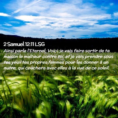 Picture 02 - 2 Samuel 12:11 LSG - Ainsi parle l'Eternel: Voici, je vais faire - Bible Verse Picture