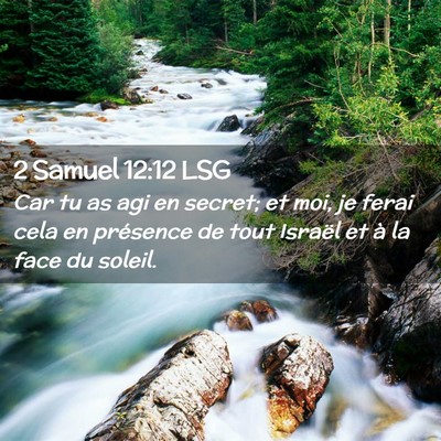 Picture 02 - 2 Samuel 12:12 LSG - Car tu as agi en secret; et moi, je ferai cela en - Bible Verse Picture