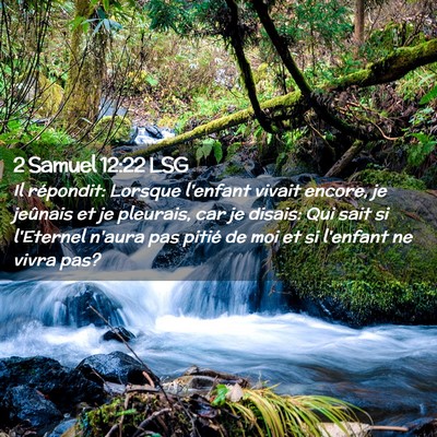 Picture 02 - 2 Samuel 12:22 LSG - Il répondit: Lorsque l'enfant vivait encore, je - Bible Verse Picture