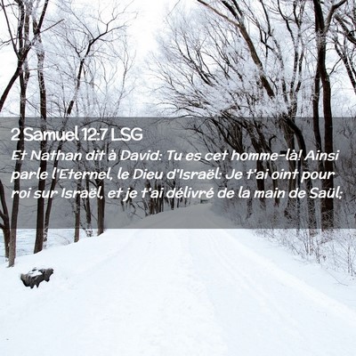 Picture 02 - 2 Samuel 12:7 LSG - Et Nathan dit à David: Tu es cet homme-là! - Bible Verse Picture