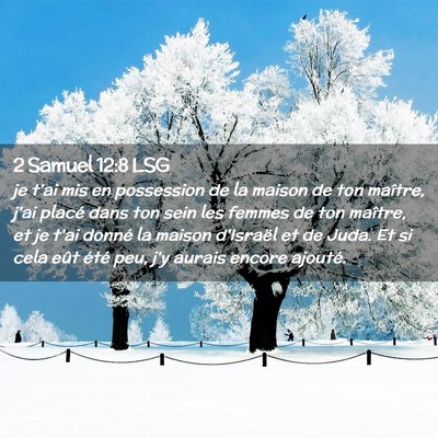 Picture 02 - 2 Samuel 12:8 LSG - je t'ai mis en possession de la maison de ton - Bible Verse Picture