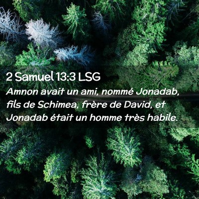 Picture 02 - 2 Samuel 13:3 LSG - Amnon avait un ami, nommé Jonadab, fils de - Bible Verse Picture