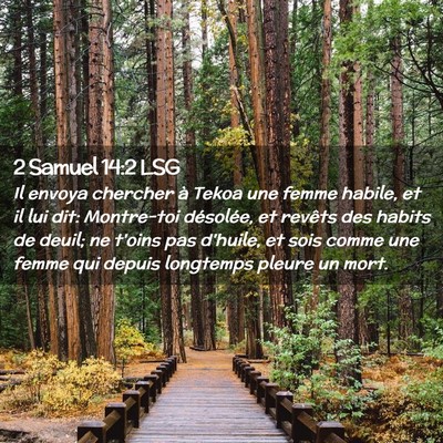 Picture 02 - 2 Samuel 14:2 LSG - Il envoya chercher à Tekoa une femme habile, et - Bible Verse Picture
