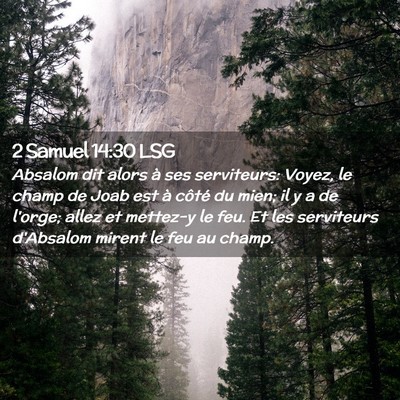 Picture 02 - 2 Samuel 14:30 LSG - Absalom dit alors à ses serviteurs: Voyez, le - Bible Verse Picture