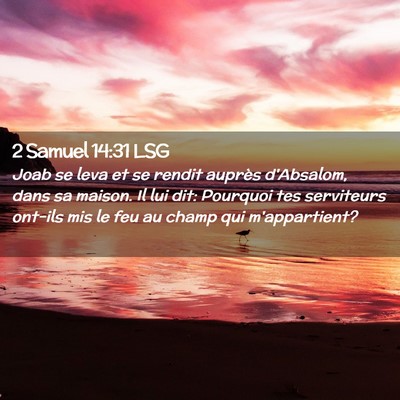 Picture 02 - 2 Samuel 14:31 LSG - Joab se leva et se rendit auprès d'Absalom, dans - Bible Verse Picture