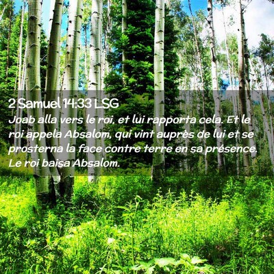 Picture 02 - 2 Samuel 14:33 LSG - Joab alla vers le roi, et lui rapporta cela. Et - Bible Verse Picture