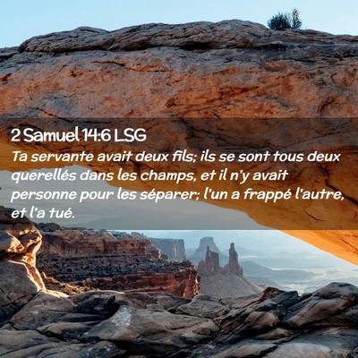 Picture 02 - 2 Samuel 14:6 LSG - Ta servante avait deux fils; ils se sont tous - Bible Verse Picture