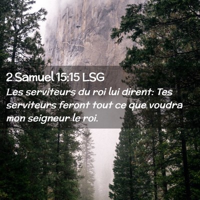 Picture 02 - 2 Samuel 15:15 LSG - Les serviteurs du roi lui dirent: Tes serviteurs - Bible Verse Picture