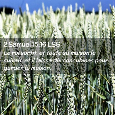 Picture 02 - 2 Samuel 15:16 LSG - Le roi sortit, et toute sa maison le suivait, et - Bible Verse Picture