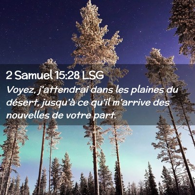 Picture 02 - 2 Samuel 15:28 LSG - Voyez, j'attendrai dans les plaines du désert, - Bible Verse Picture
