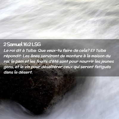Picture 02 - 2 Samuel 16:2 LSG - Le roi dit à Tsiba: Que veux-tu faire de cela? - Bible Verse Picture