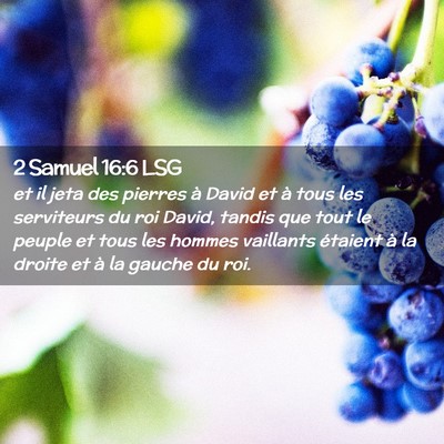 Picture 02 - 2 Samuel 16:6 LSG - et il jeta des pierres à David et à tous les - Bible Verse Picture