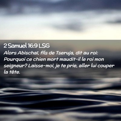 Picture 02 - 2 Samuel 16:9 LSG - Alors Abischaï, fils de Tseruja, dit au roi: - Bible Verse Picture