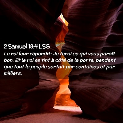 Picture 02 - 2 Samuel 18:4 LSG - Le roi leur répondit: Je ferai ce qui vous - Bible Verse Picture
