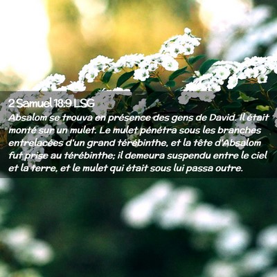 Picture 02 - 2 Samuel 18:9 LSG - Absalom se trouva en présence des gens de David. - Bible Verse Picture