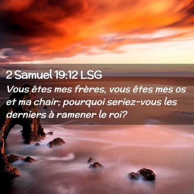 Picture 02 - 2 Samuel 19:12 LSG - Vous êtes mes frères, vous êtes mes os et ma - Bible Verse Picture