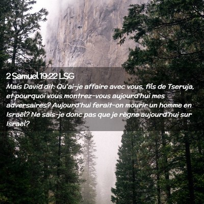 Picture 02 - 2 Samuel 19:22 LSG - Mais David dit: Qu'ai-je affaire avec vous, fils - Bible Verse Picture