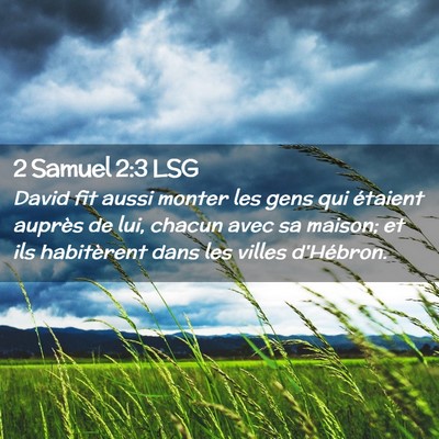 Picture 02 - 2 Samuel 2:3 LSG - David fit aussi monter les gens qui étaient - Bible Verse Picture