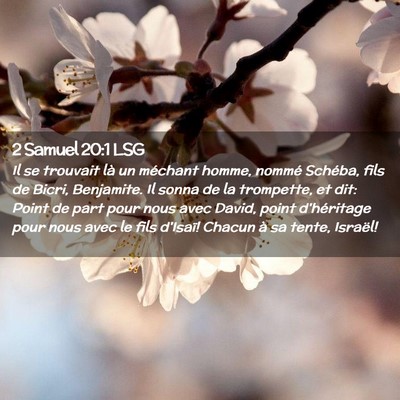 Picture 02 - 2 Samuel 20:1 LSG - Il se trouvait là un méchant homme, nommé - Bible Verse Picture