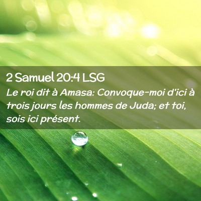 Picture 02 - 2 Samuel 20:4 LSG - Le roi dit à Amasa: Convoque-moi d'ici à trois - Bible Verse Picture
