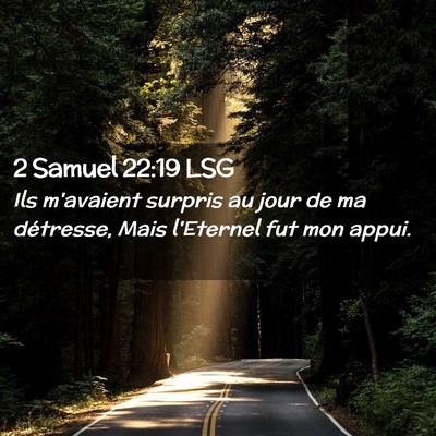 Picture 02 - 2 Samuel 22:19 LSG - Ils m'avaient surpris au jour de ma détresse, - Bible Verse Picture