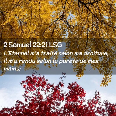 Picture 02 - 2 Samuel 22:21 LSG - L'Eternel m'a traité selon ma droiture, Il m'a - Bible Verse Picture