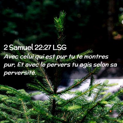Picture 02 - 2 Samuel 22:27 LSG - Avec celui qui est pur tu te montres pur, Et avec - Bible Verse Picture
