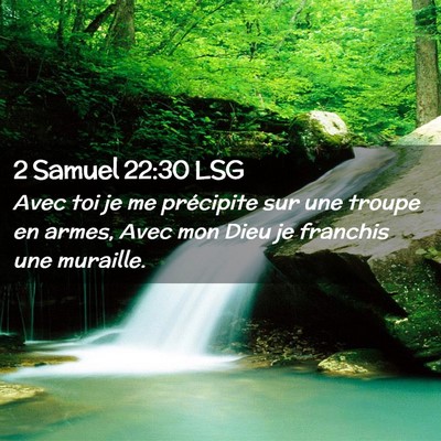 Picture 02 - 2 Samuel 22:30 LSG - Avec toi je me précipite sur une troupe en - Bible Verse Picture