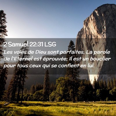 Picture 02 - 2 Samuel 22:31 LSG - Les voies de Dieu sont parfaites, La parole de - Bible Verse Picture