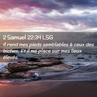 Picture 02 - 2 Samuel 22:34 LSG - Il rend mes pieds semblables à ceux des biches, - Bible Verse Picture