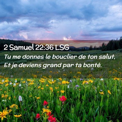 Picture 02 - 2 Samuel 22:36 LSG - Tu me donnes le bouclier de ton salut, Et je - Bible Verse Picture