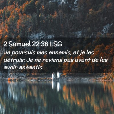 Picture 02 - 2 Samuel 22:38 LSG - Je poursuis mes ennemis, et je les détruis; Je - Bible Verse Picture