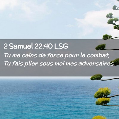 Picture 02 - 2 Samuel 22:40 LSG - Tu me ceins de force pour le combat, Tu fais - Bible Verse Picture