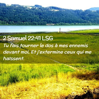 Picture 02 - 2 Samuel 22:41 LSG - Tu fais tourner le dos à mes ennemis devant moi, - Bible Verse Picture